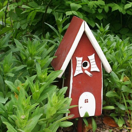 Wohnung-Schwalbennest Süderende Exteriör bild